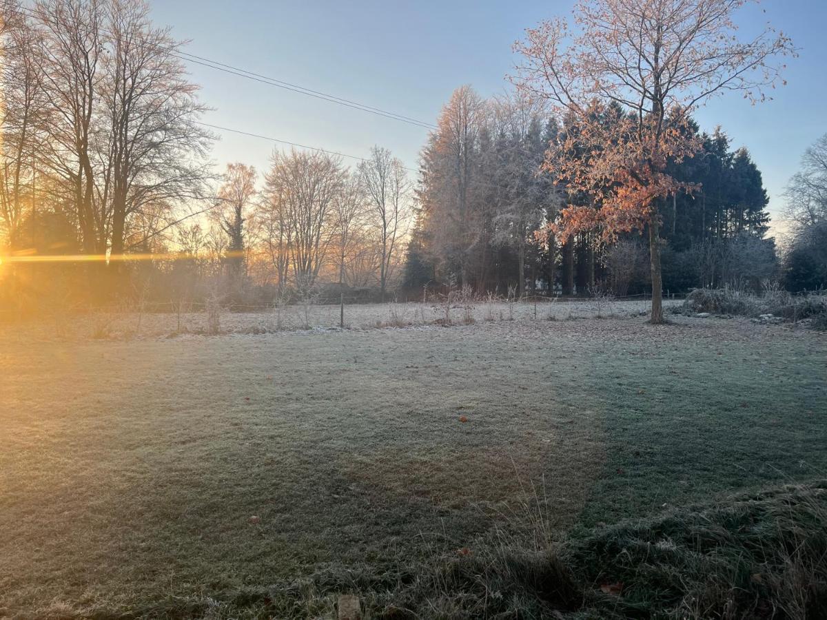 Gite « Chez Meme » Nassogne Exterior foto